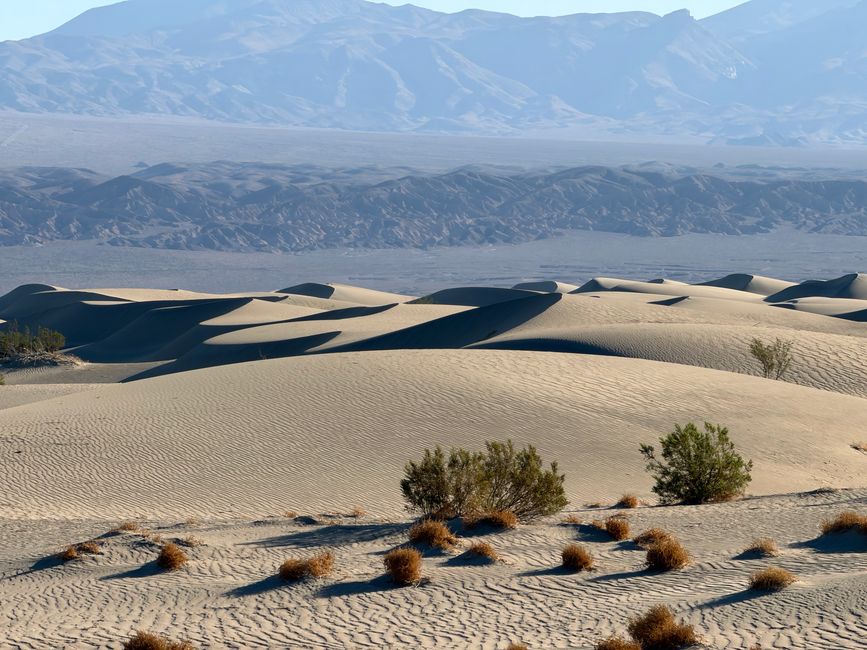 Mesquite Dunes