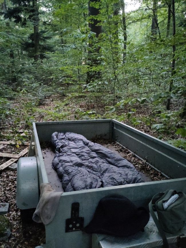 mein "Himmelbett" im Wald