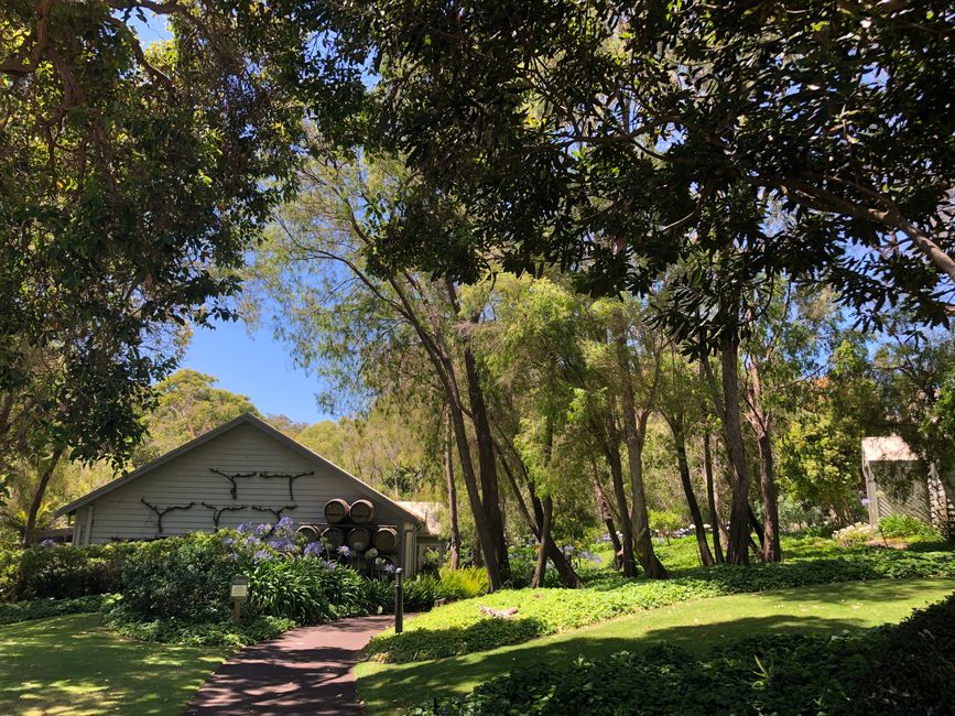 Tenuta vinicola Brookland | Houghton