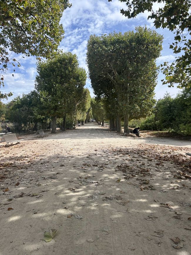Jardin des Plantes