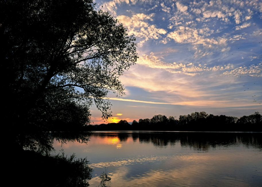 Sonnenuntergang an der Saône 