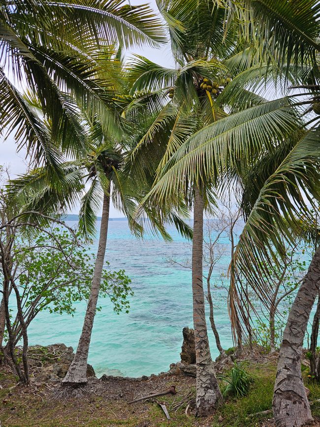 54. Tag Lifou, Neukaledonien 17.01.2026