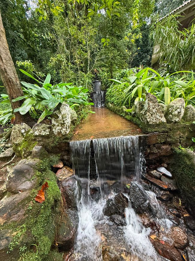 A small waterfall flows through a lush tropical garden, surrounded by dense green foliage and mossy rocks. The scene feels peaceful and refreshing, with water cascading gently over stone steps.