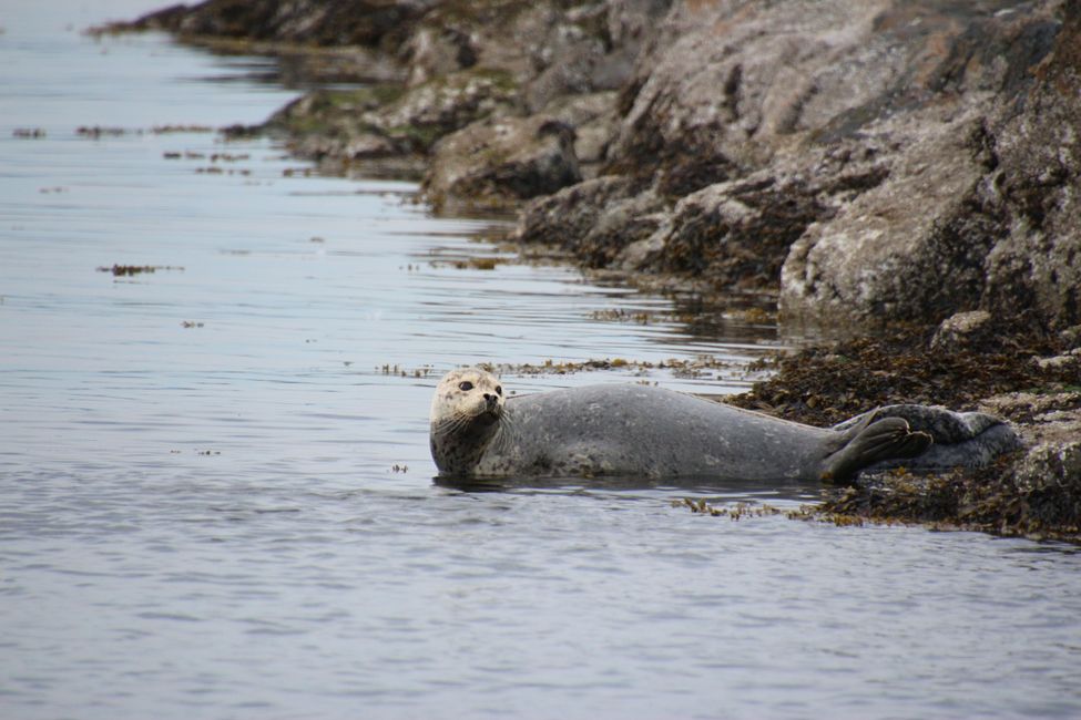 Day 5: From Victoria to Rathtrevor Provincial Park