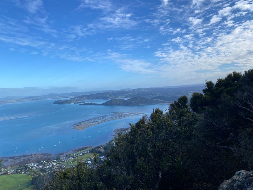 De whangarei à auckland