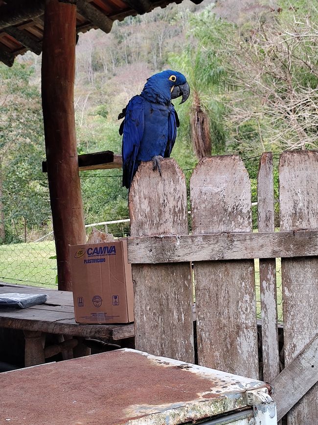 Refugio Canaa Brasil