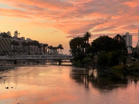 🛠️👨‍💻Días 45-47(21.-23.11.) Viña del Mar