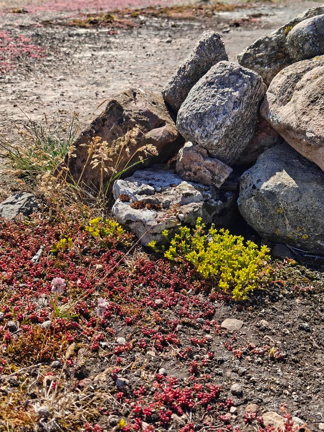 Zwei Nächte auf Öland