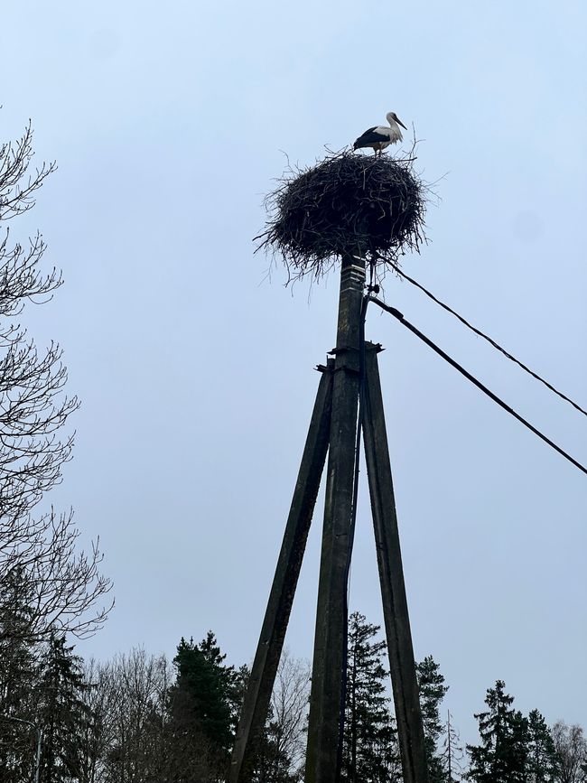 14 往Häädemeeste