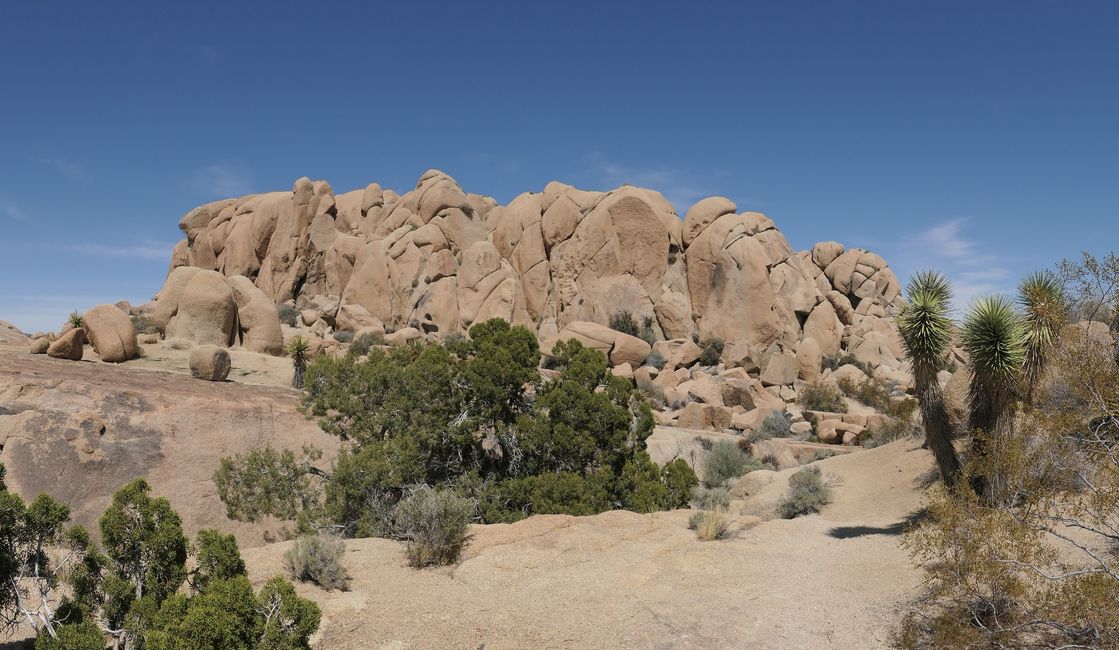 USA - Las Vegas and more ...   road trip 2025