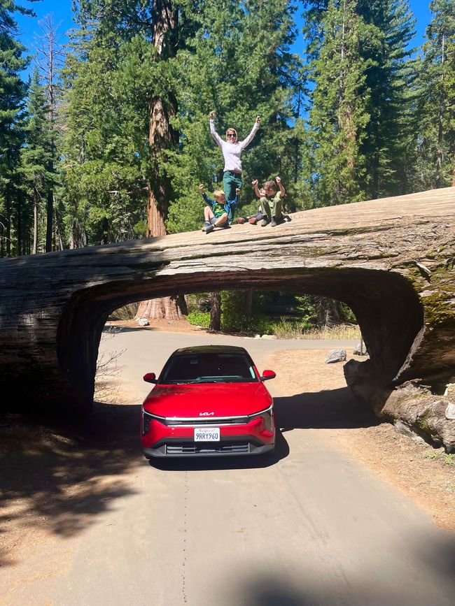 Tunnel Log