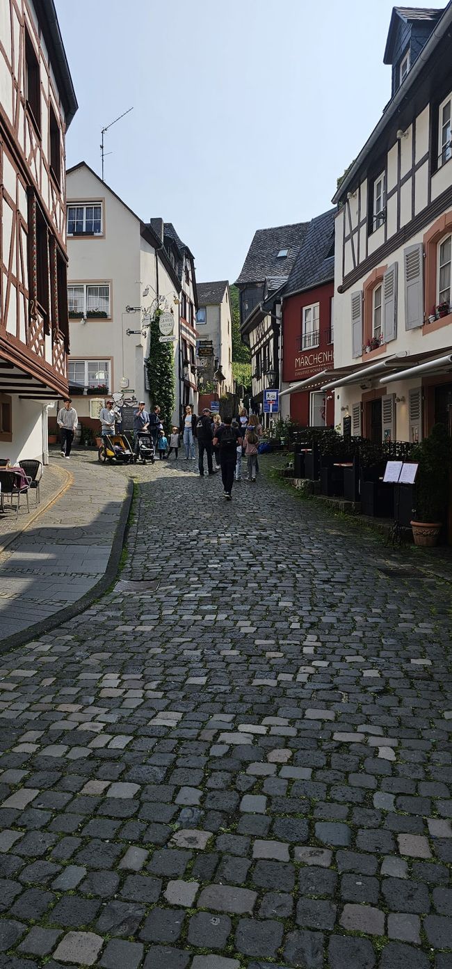 Cochem on the Moselle