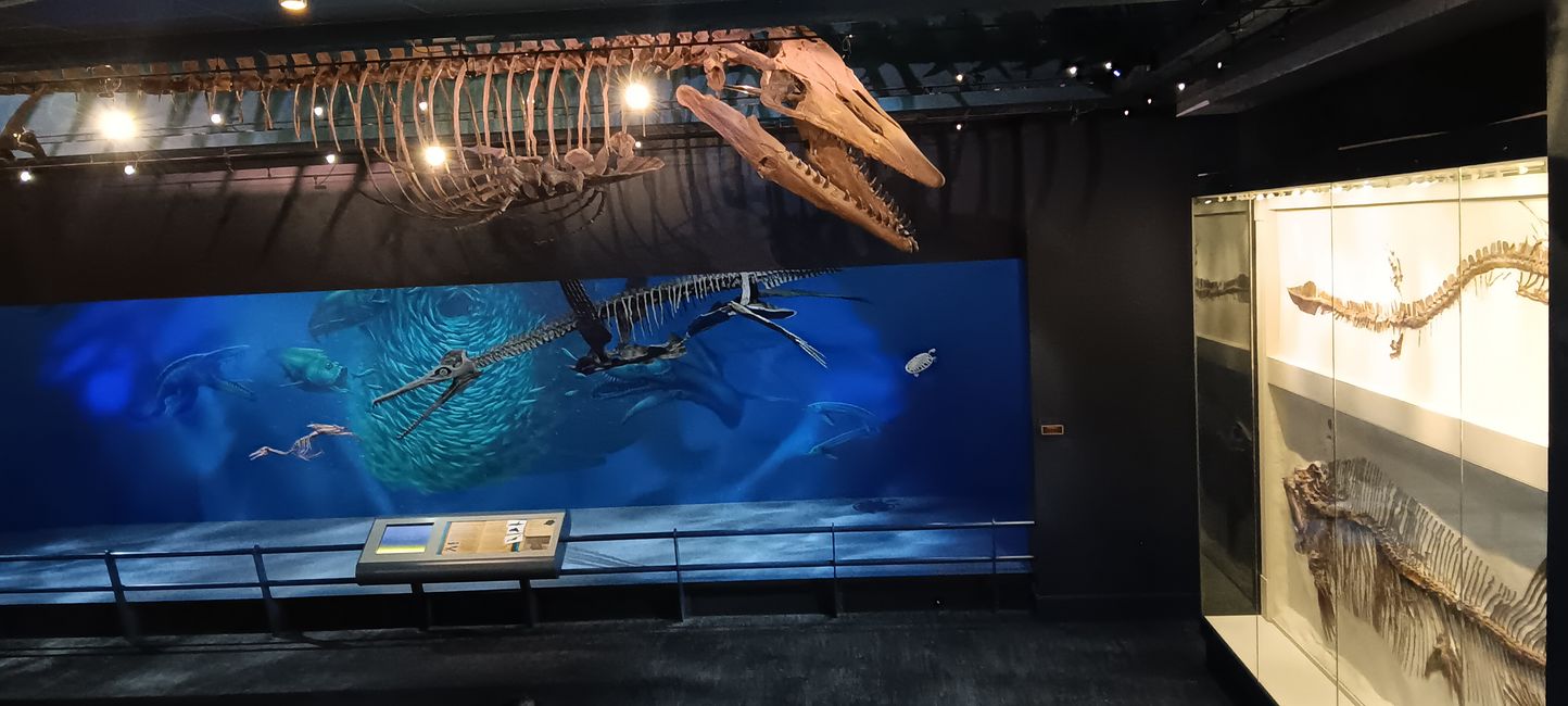 Museum of natural history I