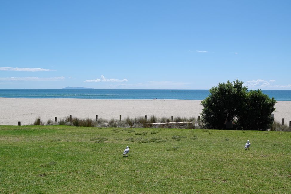 .... e proseguendo verso Rotorua ....