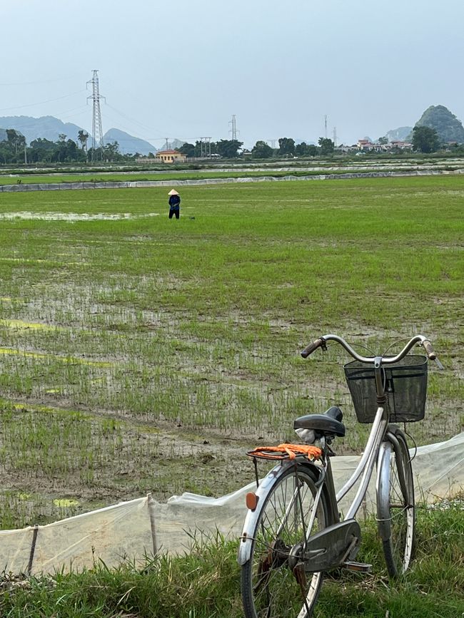 Eine volle Ladung Ninh Binh (Teil 2) & Hanoi Reloaded