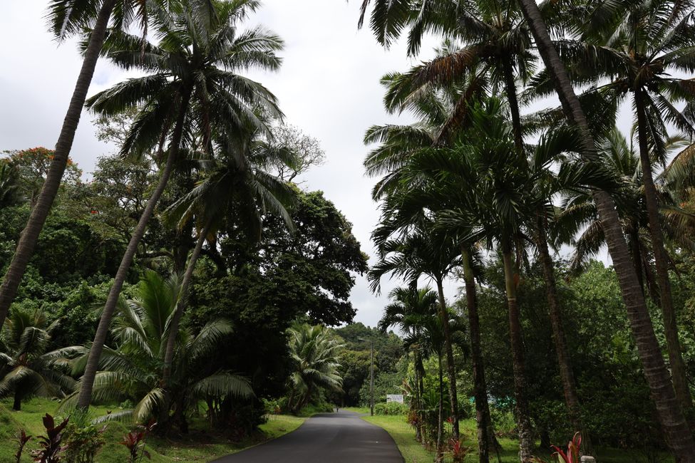 Rarotonga - Caminata cruzada por la isla