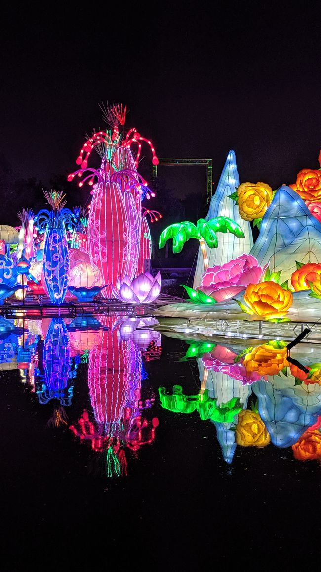 标签 11 (2019) 幻觉博物馆，迪拜框架，迪拜花园光彩与迪拜喷泉