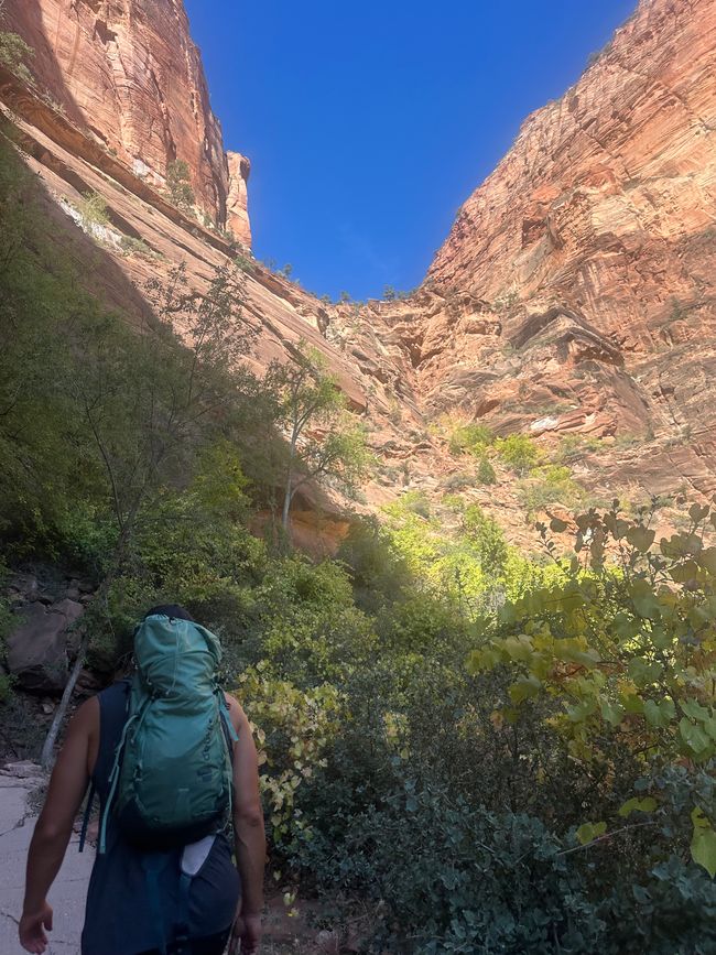 Canyon Land: Zion and Bryce Canyon❤️