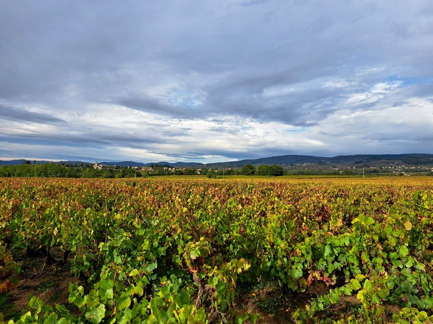 Lugar junto al Saône a finales de septiembre de 2023