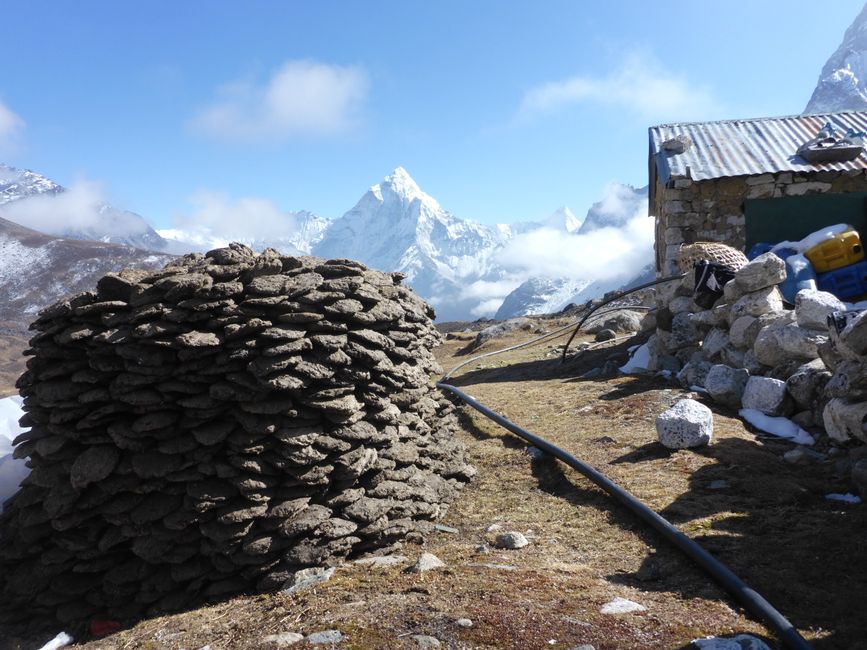 2024-11-10 Trekking zum EBC über 3 Pässe Teil 2: Cho La  und Renjo Pass