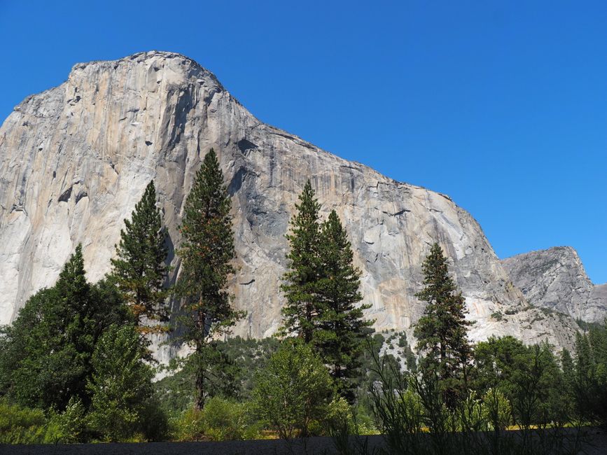 Day 7 - 5.9.2024
Yosemite NP