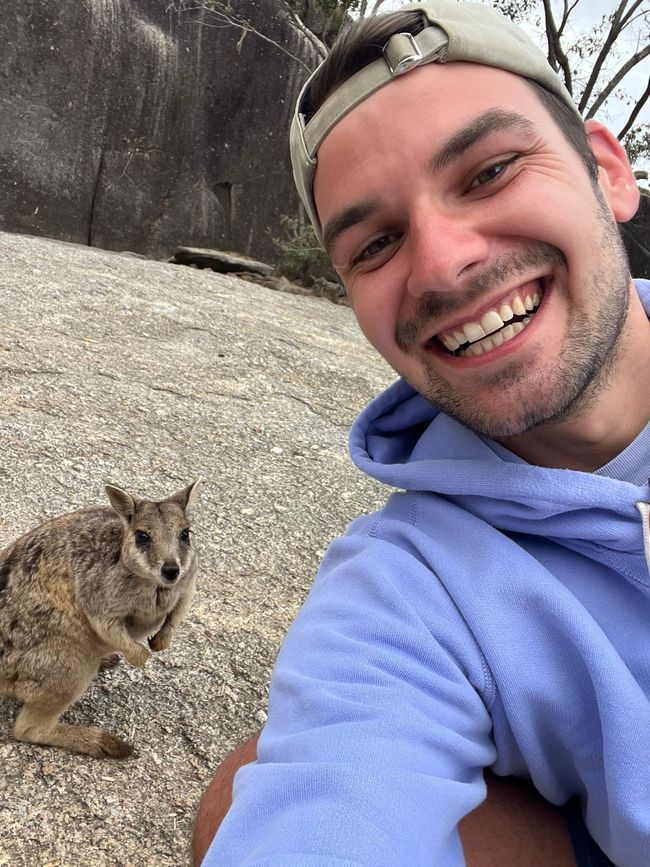 Cairns + Wallabys