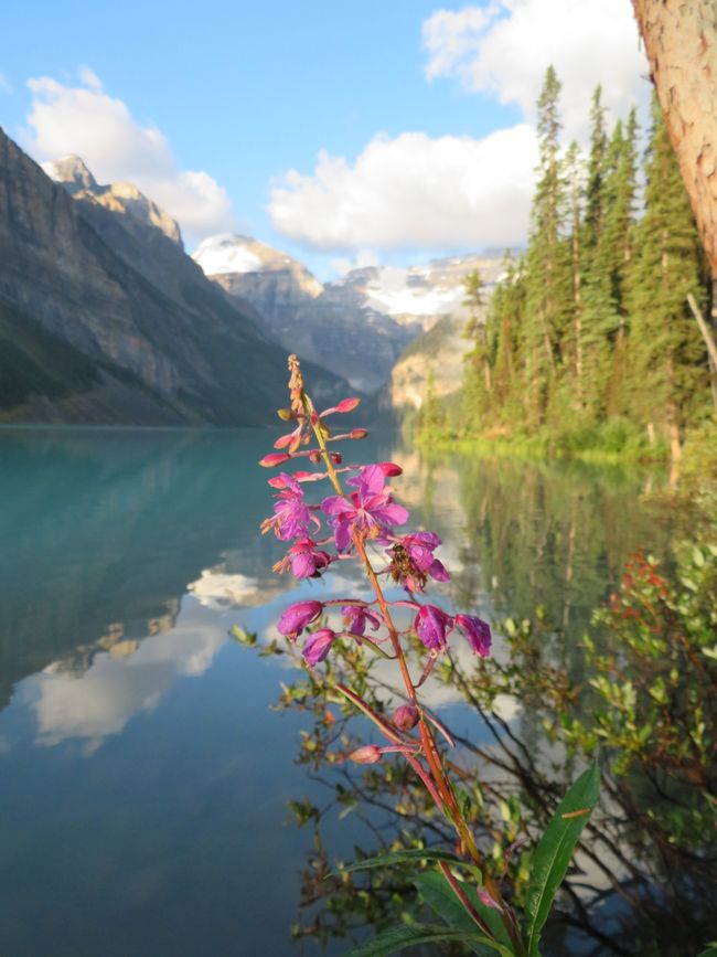 Lake Louise