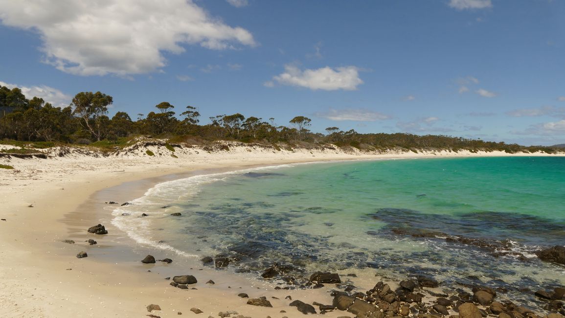 - Singapur & Tasmania 2019 -