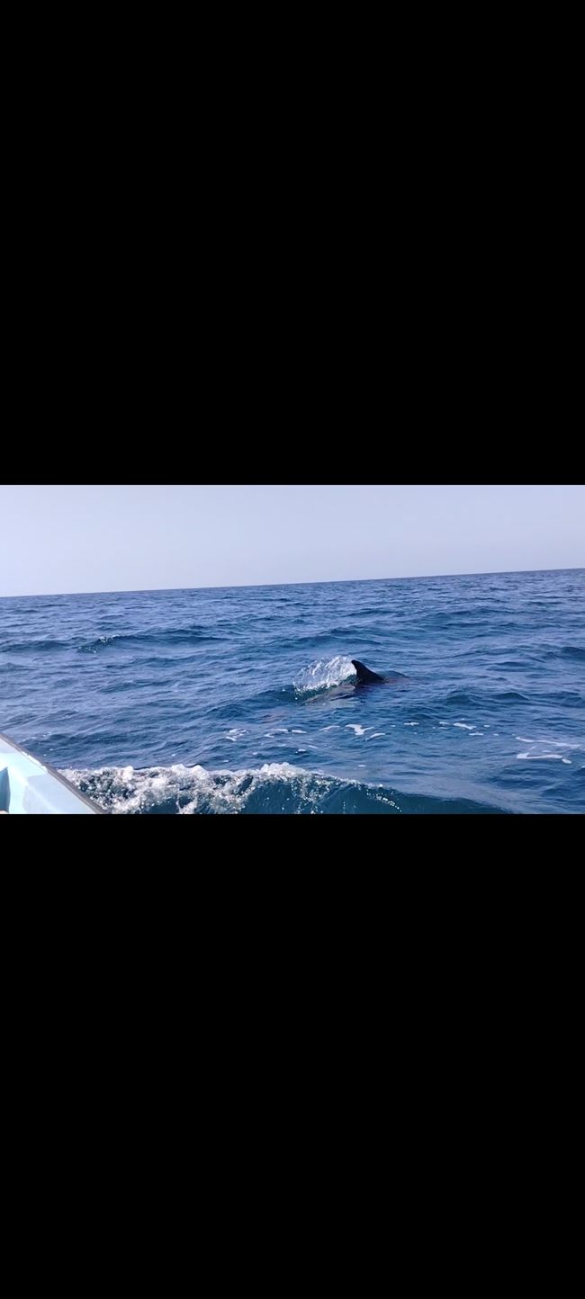 Isola di Masirah