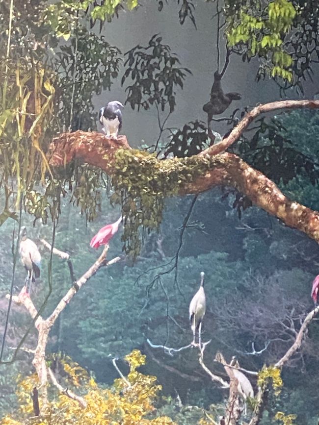 Jede Menge Tiere in luftiger Höhe