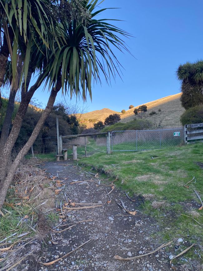 Nelson, Queen Charlotte drive, Picton, Kaikoura, Blenheim