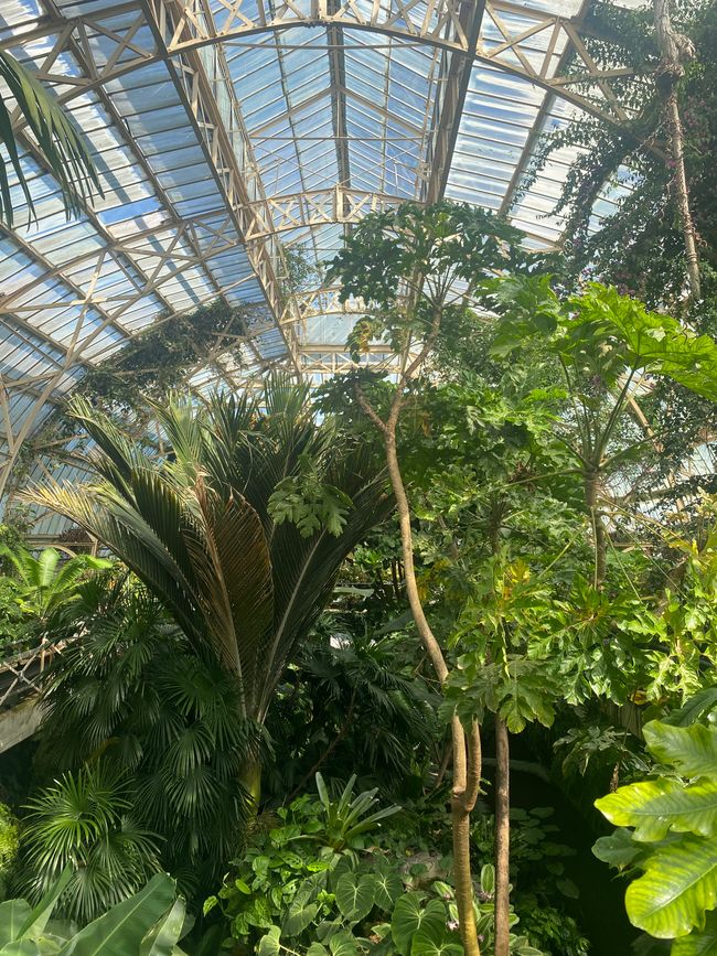 botanischer Garten Christchurch 