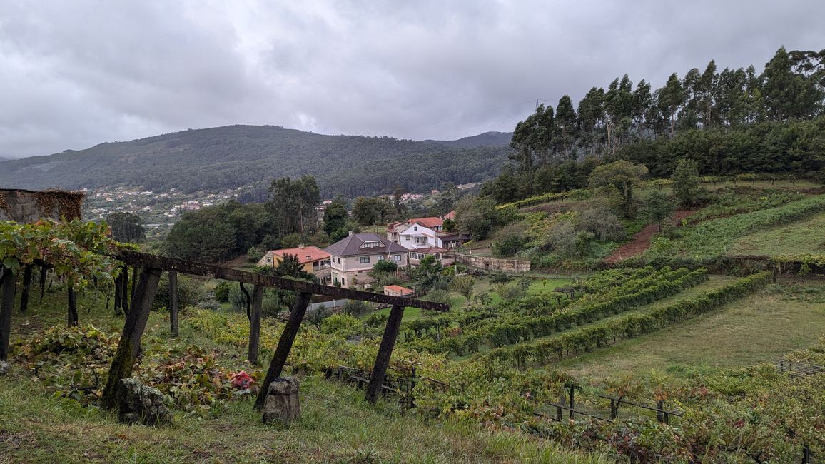 Zehnte Etappe Camino Portugues von Arcade nach Pontreveda