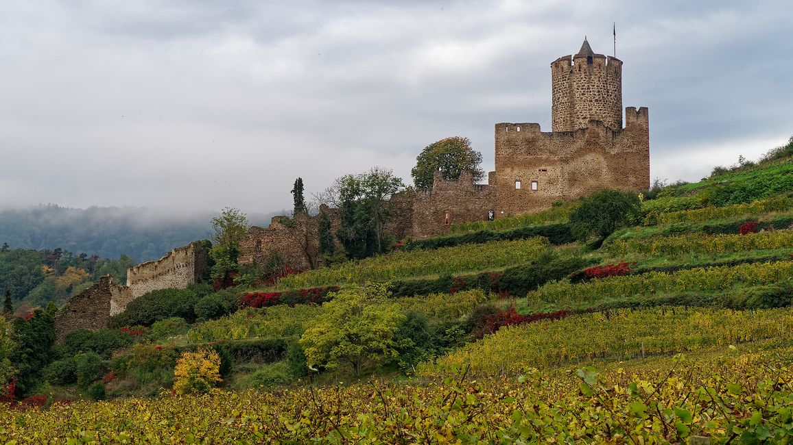 Burg Kaysersberg