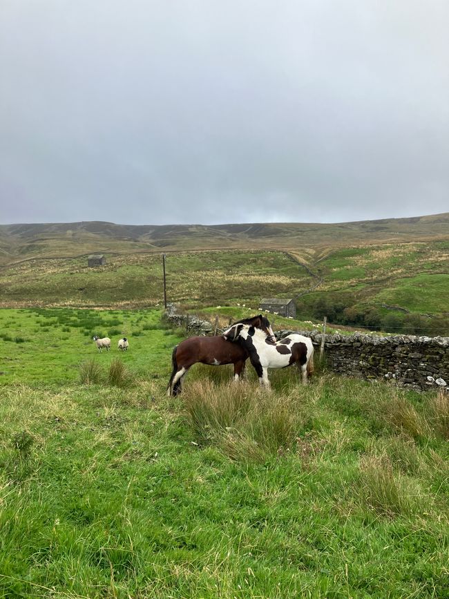 01.09.2024 Kirkby Stephen nach Keld