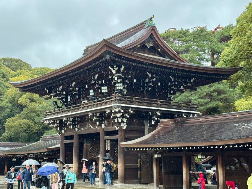 Parte 7
BENVENUTO IN GIAPPONE 🇯🇵
TOKYO