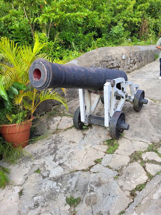 Tag 20 von 175: Kreuzfahrt rund um die Welt - Bridgetown/Barbados
