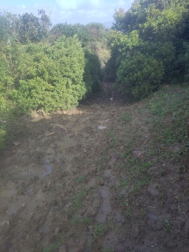 gefährliche Matschrutschbahnen