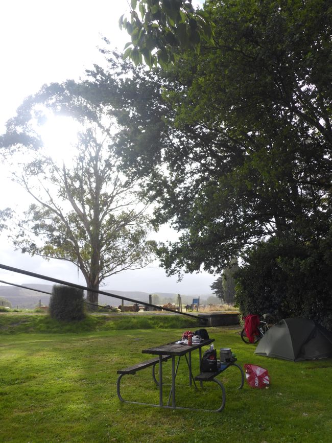 2025-02-19 a la costa oeste, NZL