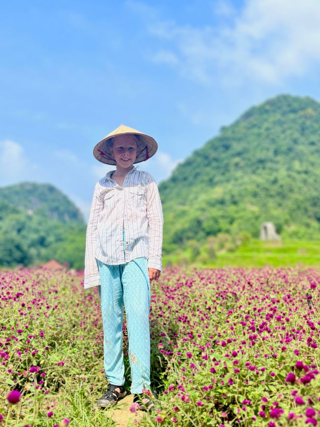 Eine volle Ladung Ninh Binh (Teil 1)