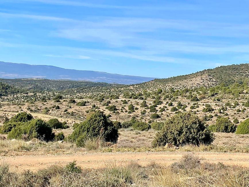 Autour de Teruel, les forêts reculent. De vastes plateaux parfois arides définissent le paysage.