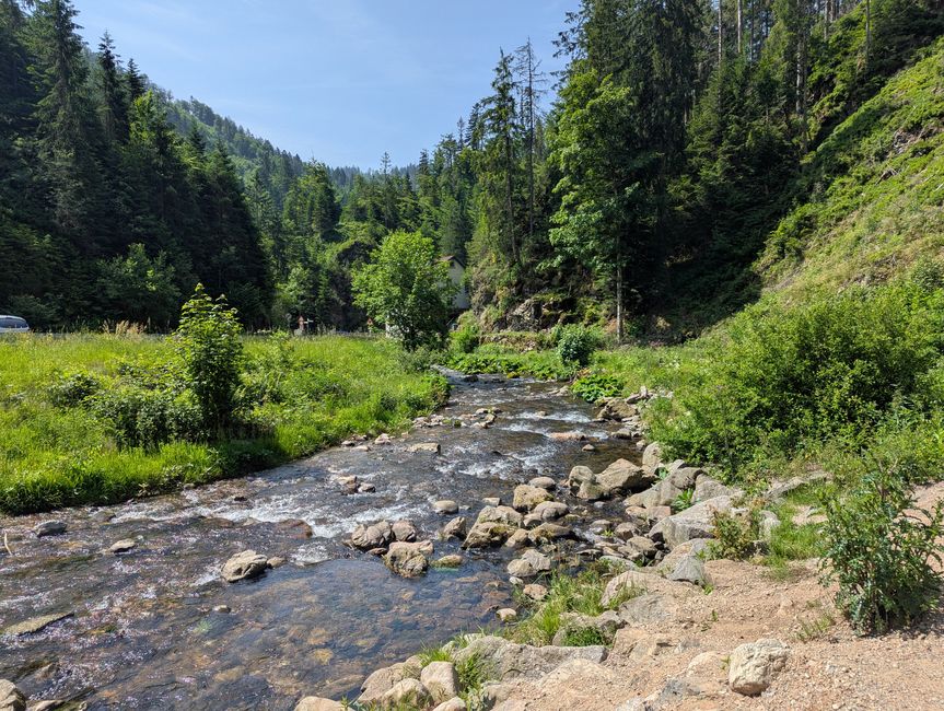De l'Allgäu à la Forêt Noire
