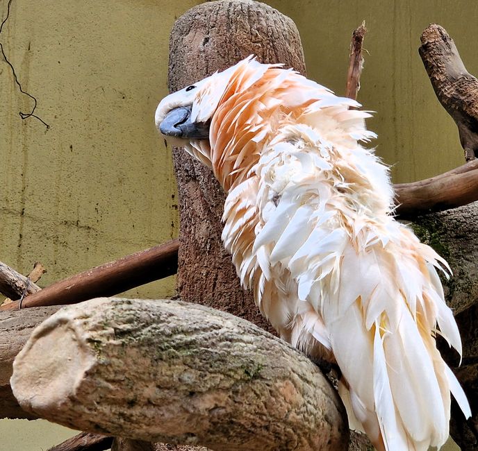 Bird Park