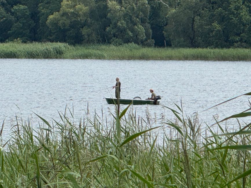 Brandenburg (Havel)
