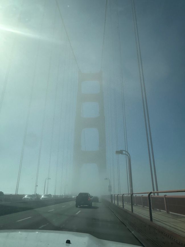 California Westcoast: Dillon Beach y SanFran