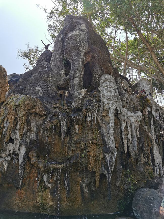 …小小的水景…