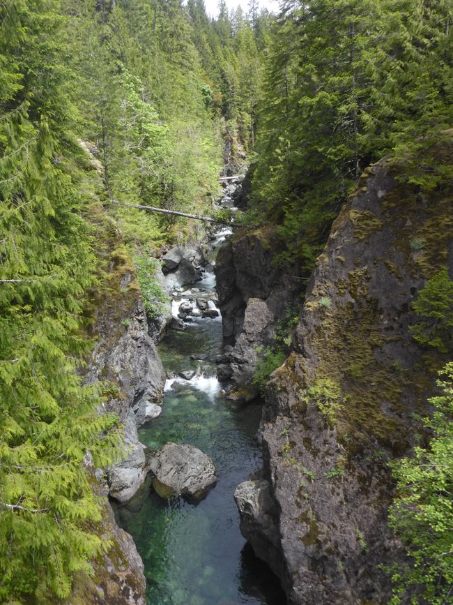 Harris Creek