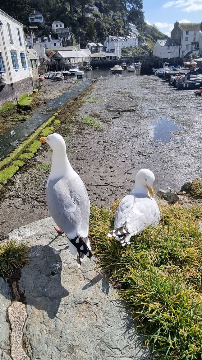 Polperro und Lands End