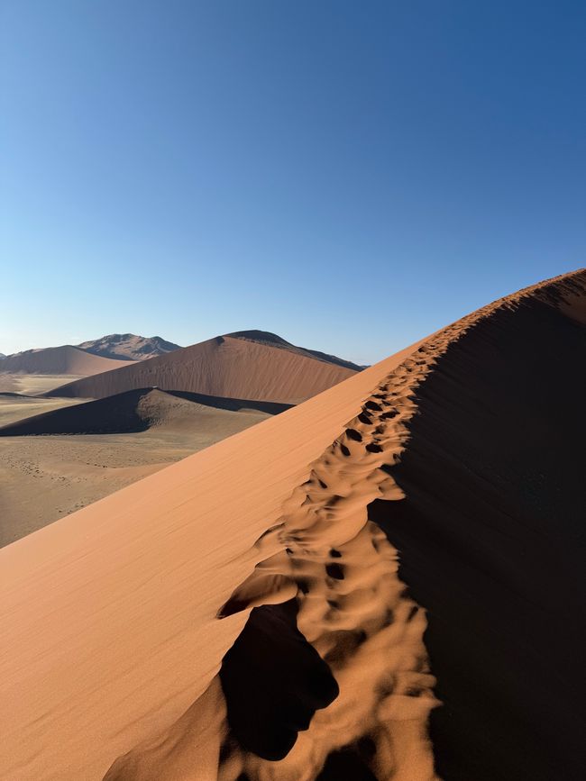 Namibia 2k25 🦓🏜️🐘
