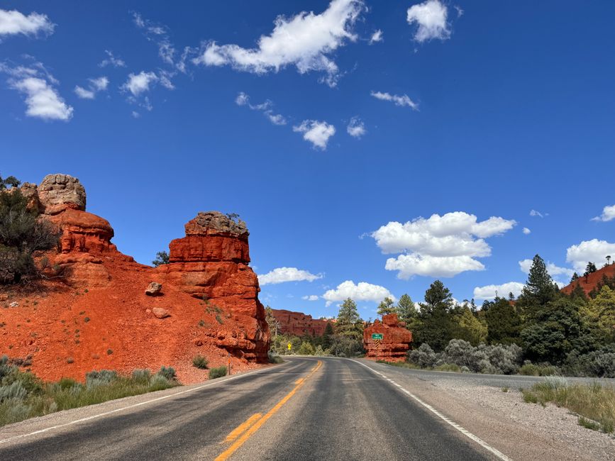 Cedar Breaks National Monument & Bryce Canyon